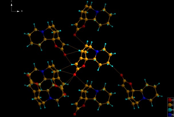 Molecule of securinine (COD:2010417) with previewed neighbouring molecules